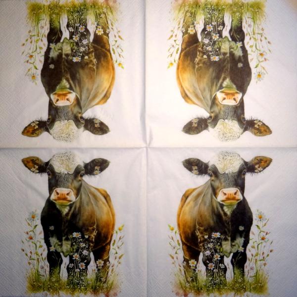 902 Cows - 3-ply - Specials